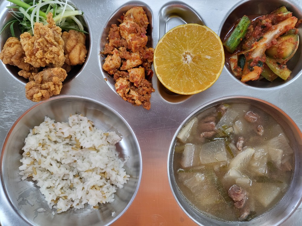 귀리밥
쇠고기무국(5.6.16)
파닭(2.5.6.12.13.15.16.18)
마파두부(5.6.10.12.13.18)
오이김치(9)
황금향_이미지